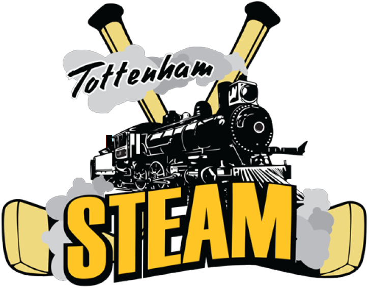 Tottenham Steam 2014-Pres Primary Logo iron on transfers for T-shirts